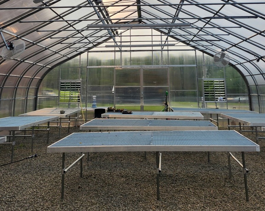 Учні працюють у теплиці Rimol Greenhouse