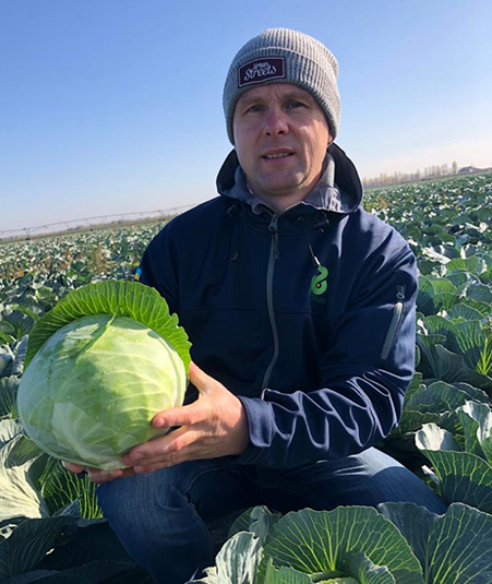 Фахівець назвав перспективні гібриди капусти для різних потреб3
