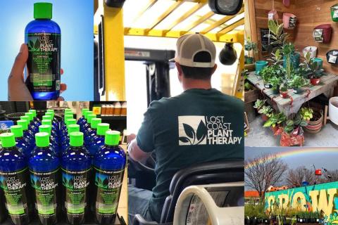 Ви зараз переглядаєте Механічний підхід до контролю шкідників у теплицях: нові можливості для аграріїв