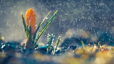 Ви зараз переглядаєте Озвучено прогноз погоди на тиждень