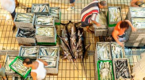 Ви зараз переглядаєте Новий звіт ФАО розкриває масштаби шахрайства з рибою та інструменти для його подолання