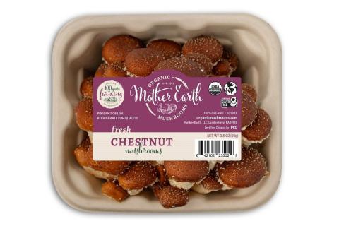 Ви зараз переглядаєте Розширення асортименту альтернативних грибних продуктів від Mother Earth