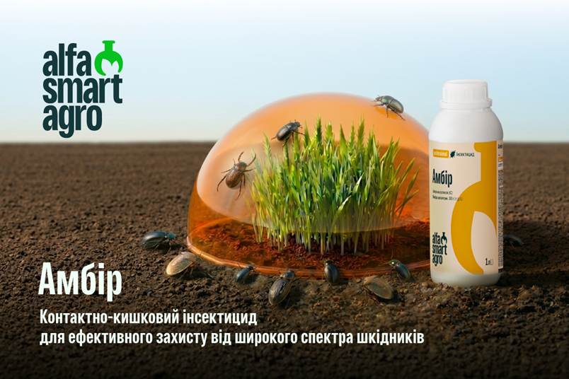 Комплексний контроль хвороб і шкідників зернових упродовж вегетації15