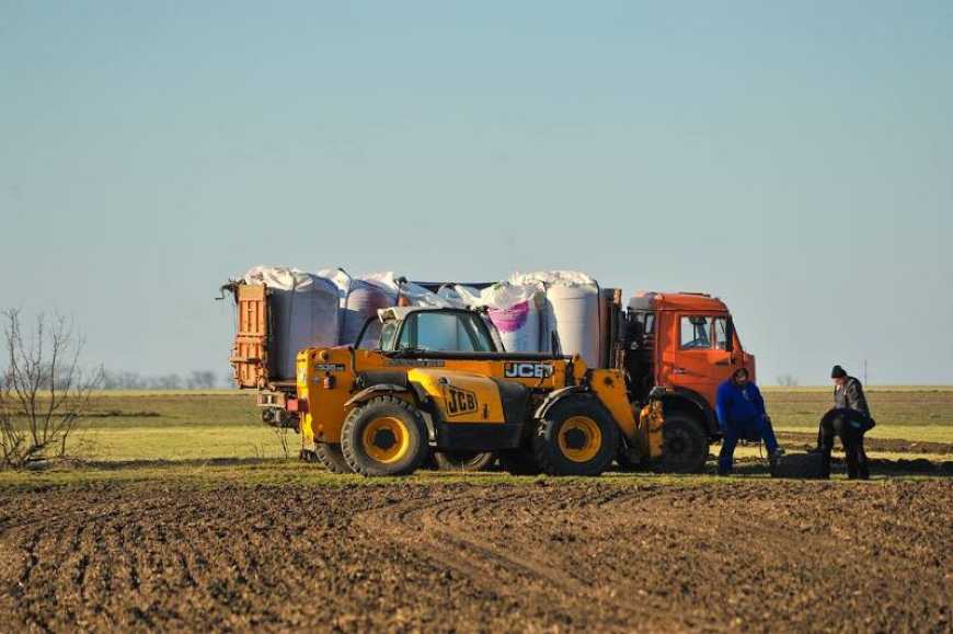 Ви зараз переглядаєте Посівна-2026: на Одещині сіють сочевицю