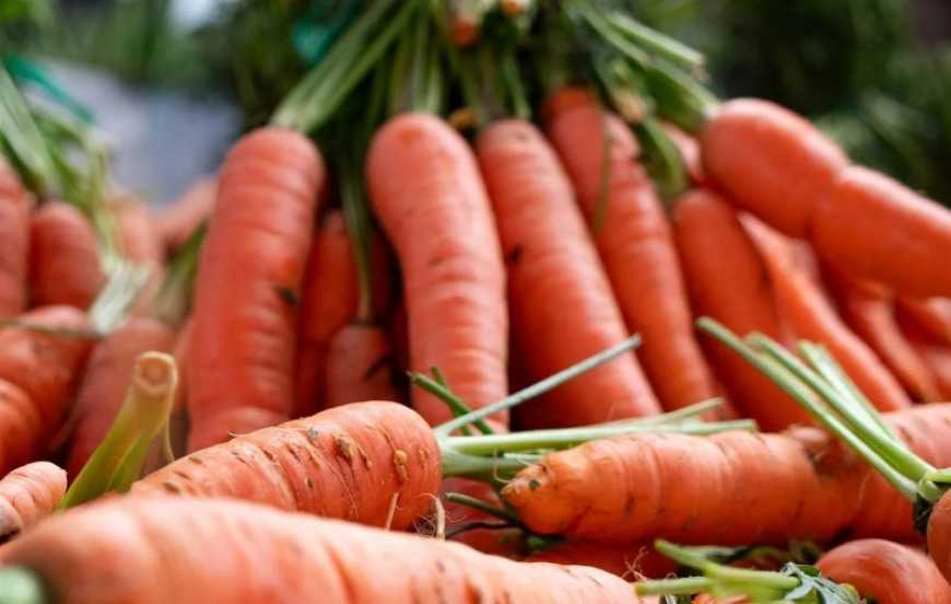 Ви зараз переглядаєте Морква в Україні продовжує дешевшати
