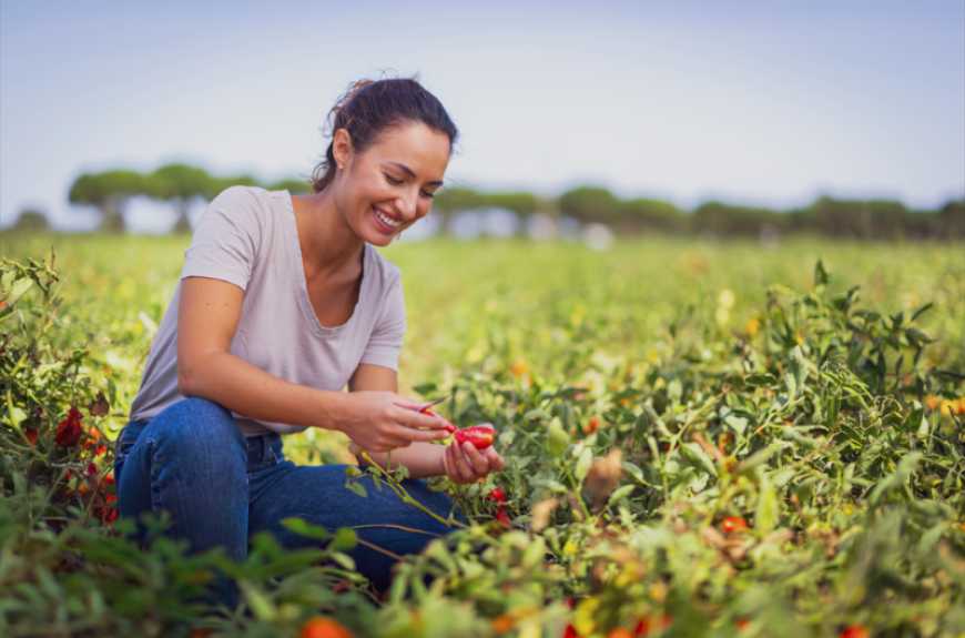 Ви зараз переглядаєте Corteva відкриває нові можливості українських фермерок, надаючи їм доступ до сучасних агрономічних знань