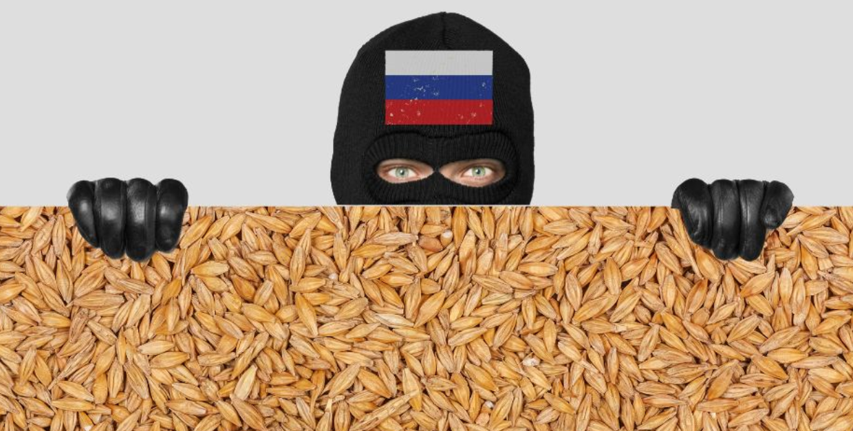 Ви зараз переглядаєте Стало відомо, куди продали вкрадене українське зерно