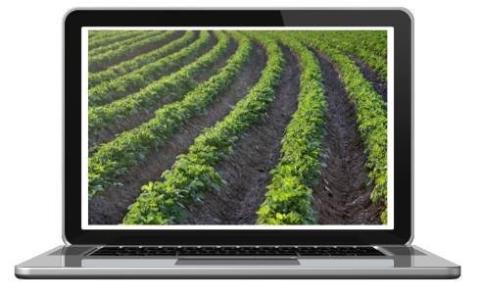 Ви зараз переглядаєте Новий курс з управління шкідниками овочів від MSU: гнучке навчання для аграріїв