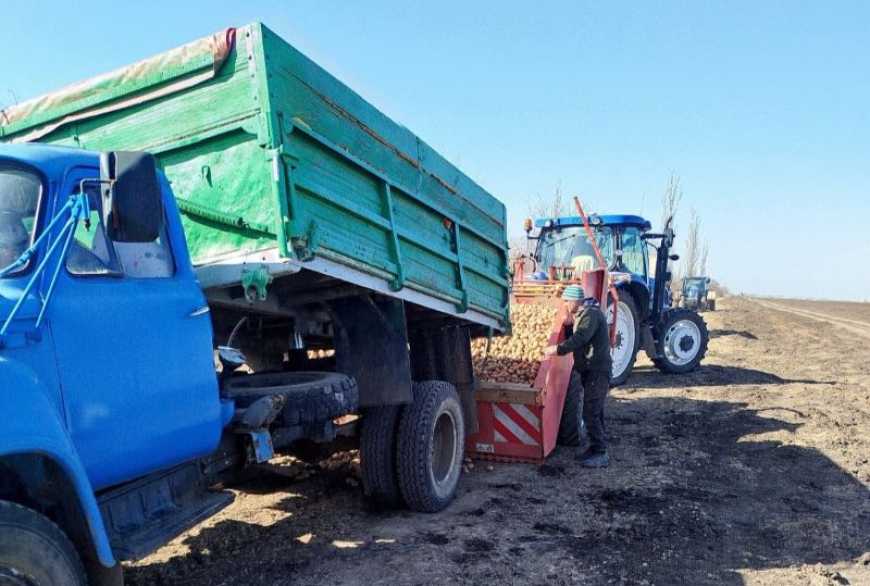 Ви зараз переглядаєте На Миколаївщині розпочали посадку ранньої картоплі