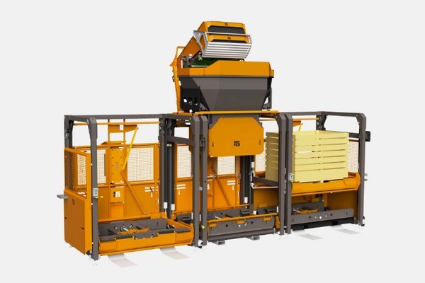 Процес упаковки картоплі