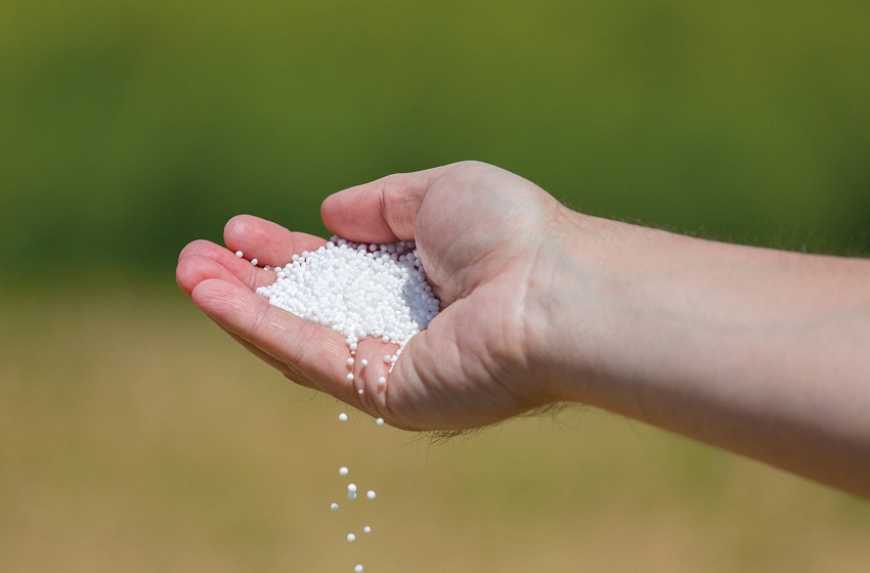 Ви зараз переглядаєте Ринок добрив: світові ціни на аміачну селітру зростають слідом за карбамідом