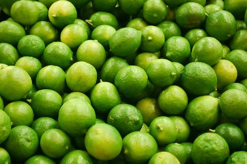 Ви зараз переглядаєте Мічоакан створює лабораторії та біофабрики для боротьби з бактеріями у лимонах