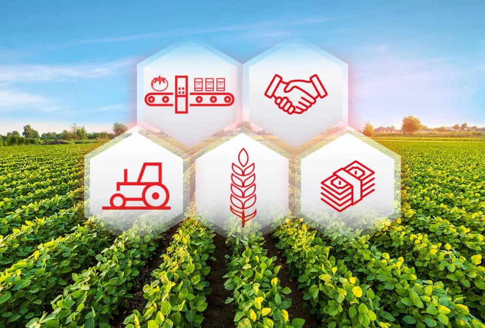 Ви зараз переглядаєте Уряд запроваджує нову систему підтримки аграріїв у складних умовах