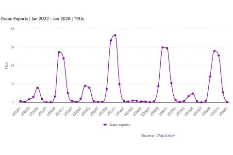 Ви зараз переглядаєте Бразильські виноградні експорти до ЄС отримають безмитний доступ з травня