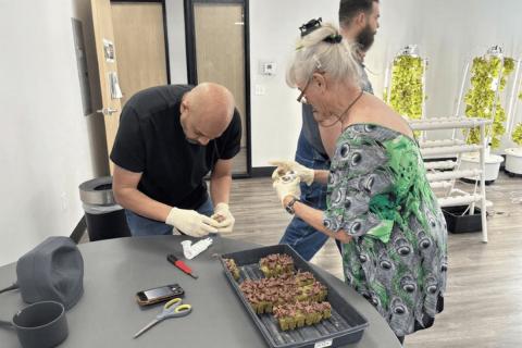 Ви зараз переглядаєте Практичне навчання з вирощування овочів без ґрунту в Неваді