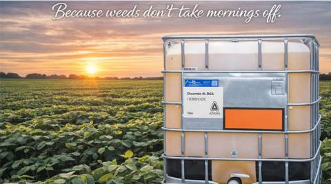 Ви зараз переглядаєте ADAMA презентує гербіцид Dicamba 4L DGA для посилення контролю бур’янів у США