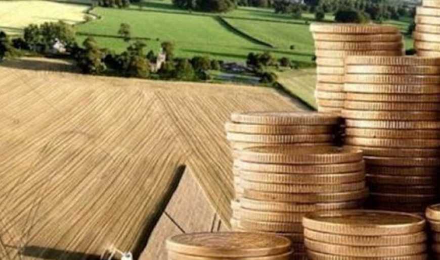 Ви зараз переглядаєте «Земельний банк»: орендарі за держземлі пропонують близько 12 тис./га