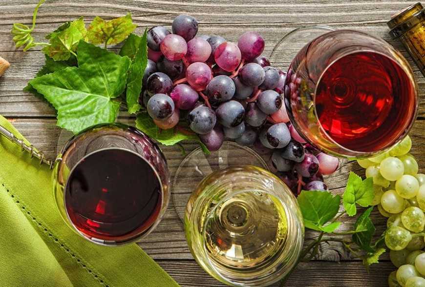 Ви зараз переглядаєте Виноробство: з придбаного винограду малі виробники в Україні можуть виготовляти вино за додатковою ліцензією