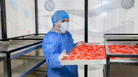 Ви зараз переглядаєте Інновації у пост-урожайній обробці в Єгипті: поліпшення добробуту жінок через ефективне використання води