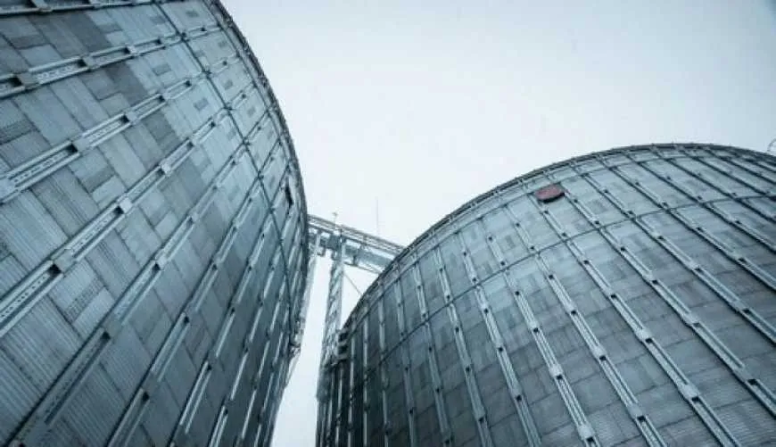 Ви зараз переглядаєте Частина великих зернотрейдерів поставила на паузу закупівлі зерна зі сторонніх елеваторів 