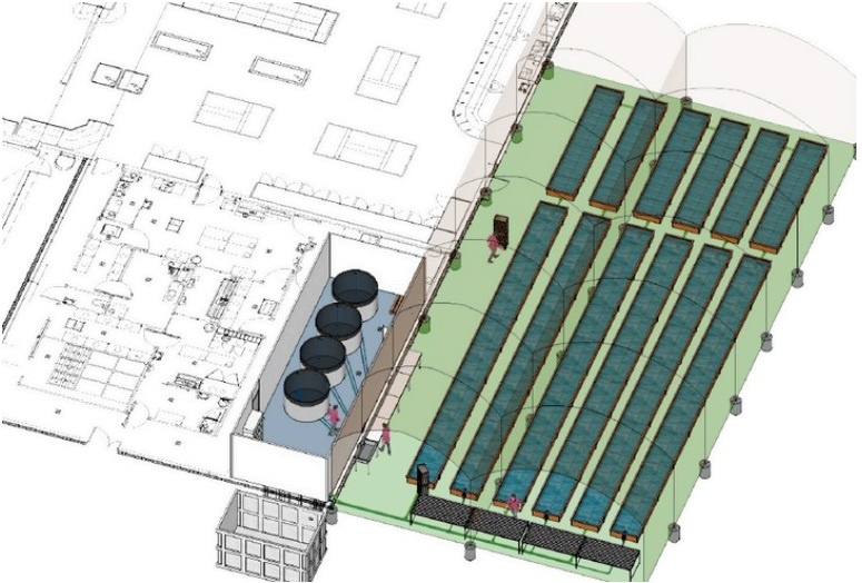 Схема аквапонічної ферми