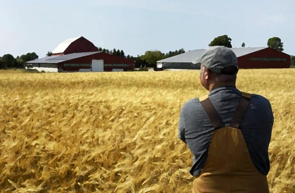 Ви зараз переглядаєте Фермер, який служить у війську, виграв суд у податківців на Волині