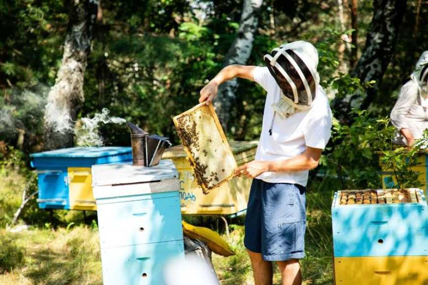 Ви зараз переглядаєте Переселенці з Луганщини відроджують власну пасіку на Канівщині