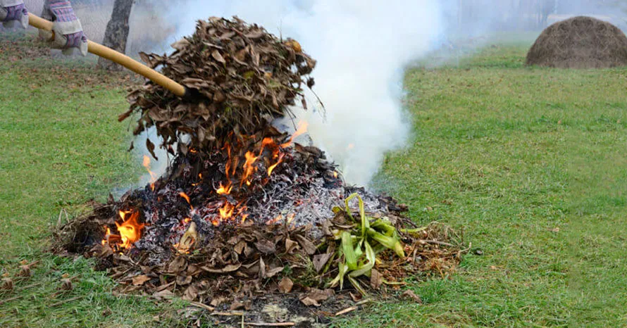 Ви зараз переглядаєте Чи можна палити гілки та сміття на подвір’ї: озвучено штрафи