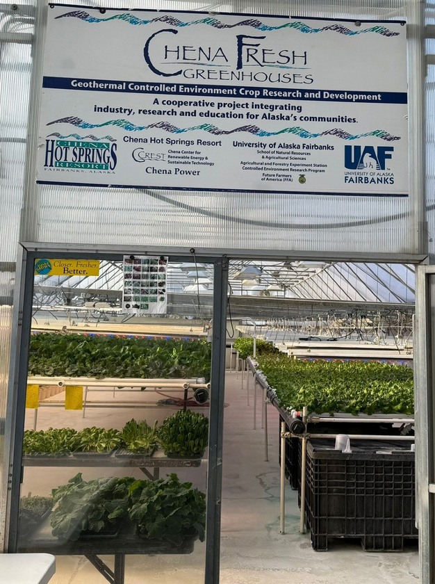 Вирощування овочів в теплиці