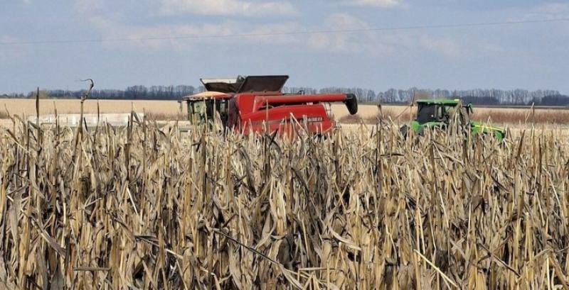 Аграрії продовжують збирати торішню кукурудзу