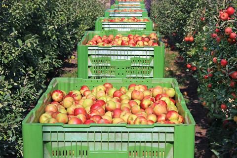 Ви зараз переглядаєте США та Австралія об’єднують зусилля для розвитку автоматизованого збору врожаю