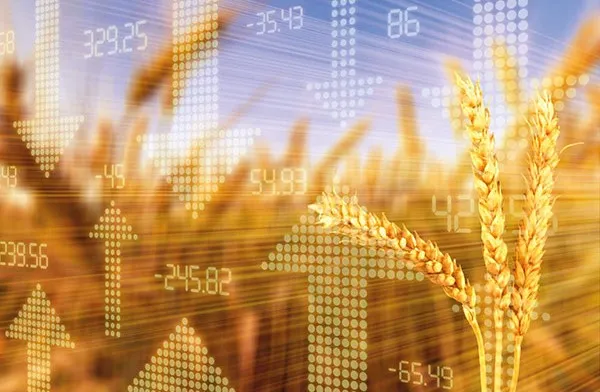 Ви зараз переглядаєте Світові ціни на пшеницю різко впали після нового звіту USDA