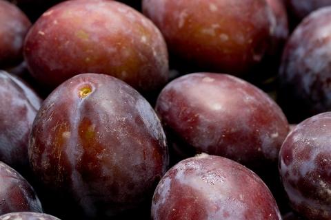 Ви зараз переглядаєте Австралійські сливи переробляються на порошки та напої для зменшення відходів