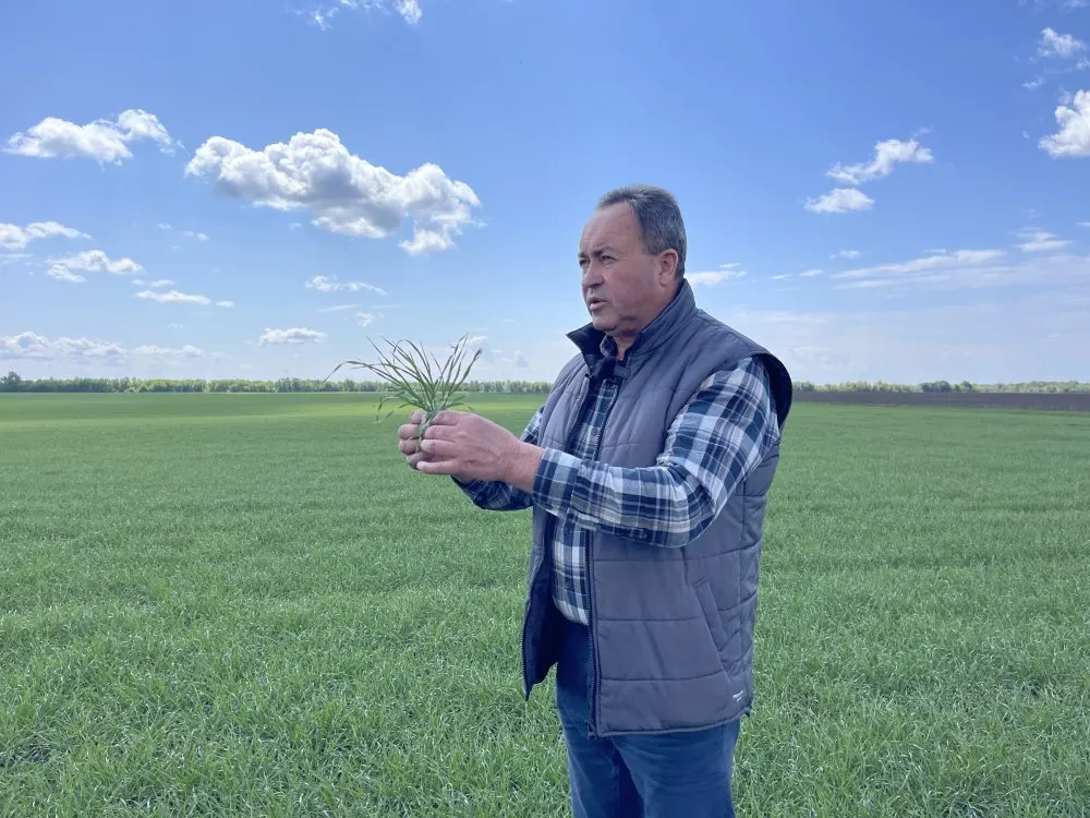 Польове порівняння: яка сівалка дала найкращий результат6