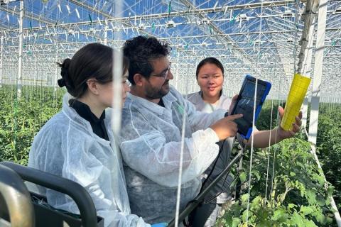 Ви зараз переглядаєте Оптимізація врожайності в Казахстані за допомогою цифрових технологій