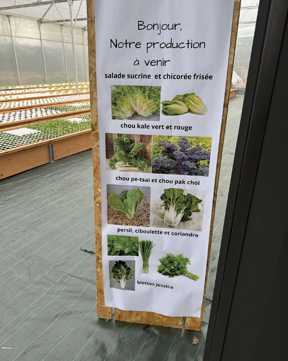 Аквапонічна ферма в супермаркеті