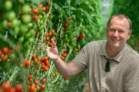 Ви зараз переглядаєте Боротьба з тепличною білокрилкою в Новій Зеландії: нові підходи