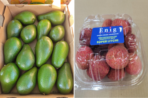 Ви зараз переглядаєте Біодинамічне вирощування лічі на фермі Enig Boerdery: досвід і результати