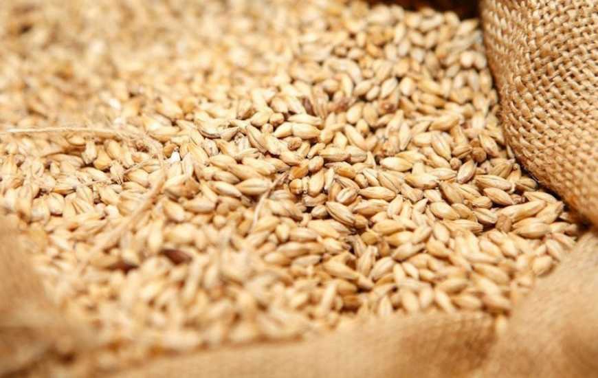 Ви зараз переглядаєте Ринок пшениці: в Україні може накопичитися 5 млн тонн нереалізованого зерна