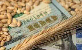 Ви зараз переглядаєте Як змінилися ціни на зернові та олійні