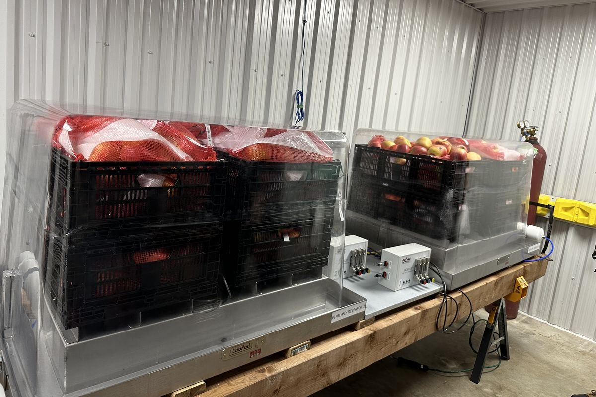 Тестові камери, які використовуються Vineland для оцінки потенціалу зберігання нових виборів.