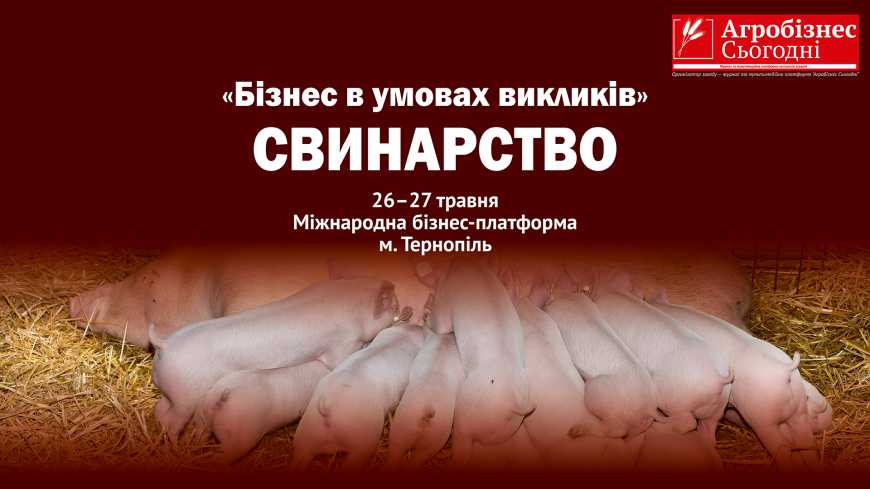 Ви зараз переглядаєте У травні відбудеться Міжнародна бізнес-платформа «Бізнес в умовах викликів». Свинарство