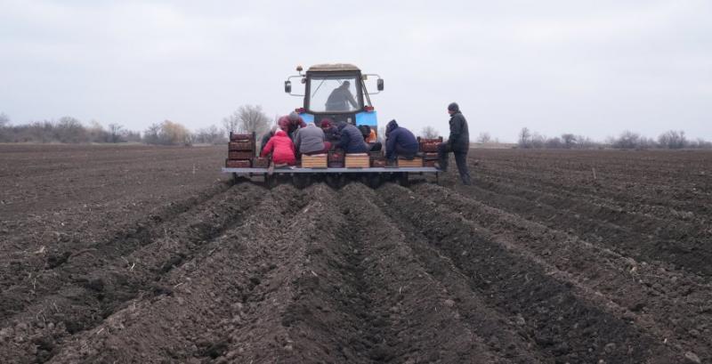 Фермер з Херсонщини планує збільшити площі під овочами