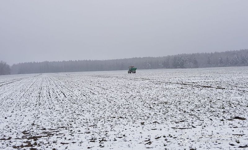 Ви зараз переглядаєте Яким має бути правильне підживлення озимих по мерзлоталому ґрунту нагадали аграріям