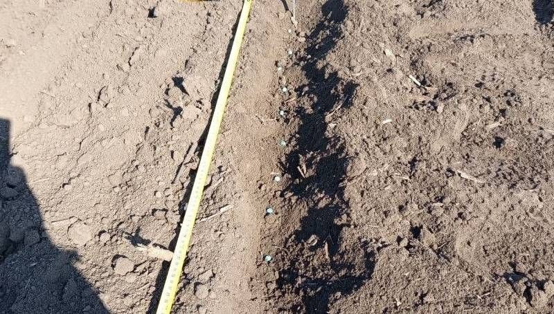 Ви зараз переглядаєте На Київщині заклали досліди: порівнюють оранку та глибоке розпушування під горох