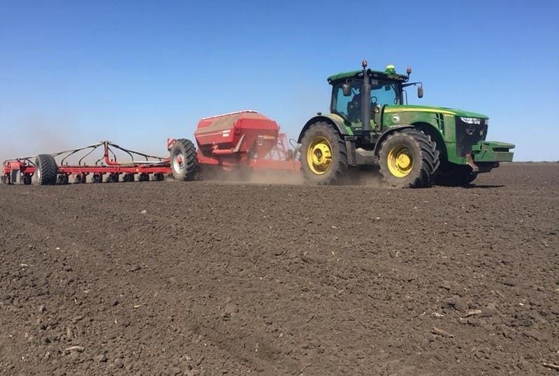 Ви зараз переглядаєте Ольгопіль відмовився від ярої пшениці на користь більш рентабельних культур