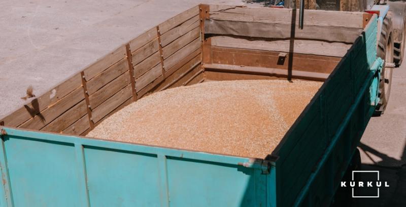 Трейдери призупинили закупівлі зерна на елеваторах через скандал із «Волиця-Агро» Трейдери призупинили закупівлі зерна на елеваторах через скандал із «Волиця-Агро»