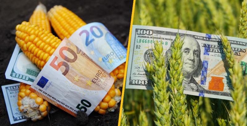 Україна скоротила експорт пшениці, кукурудзи та ріпакової олії — наростила