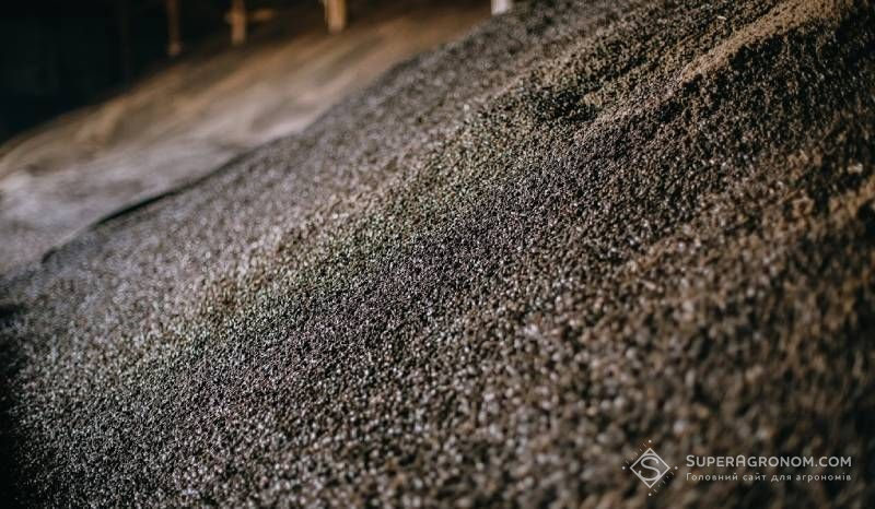 Ви зараз переглядаєте Українським аграріям порадили активно продавати соняшник — поки ціни високі