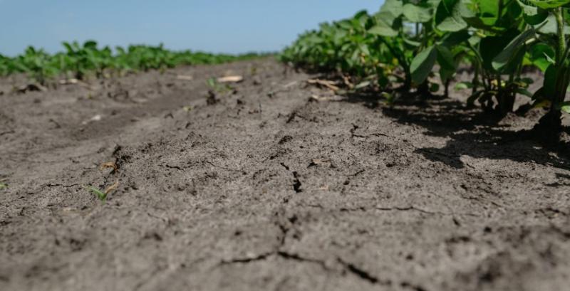 Уряд затвердив механізм визначення зон ризикованого землеробства